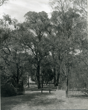 Looking North along Deep Creek Road, Mitcham, from Car Park at Schwerkolt Cottage Museum Complex.