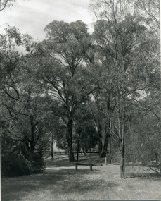 Looking North along Deep Creek Road, Mitcham, from Car Park at Schwerkolt Cottage Museum Complex.