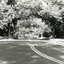 Black and white photograph looking West along Forster Street, Mitcham.