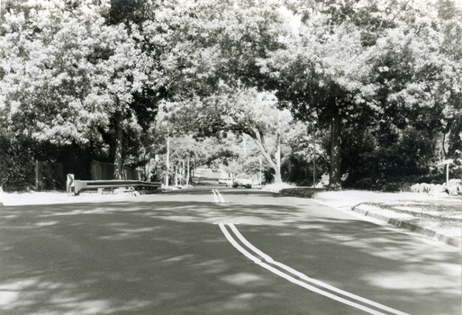 Black and white photograph looking West along Forster Street, Mitcham.