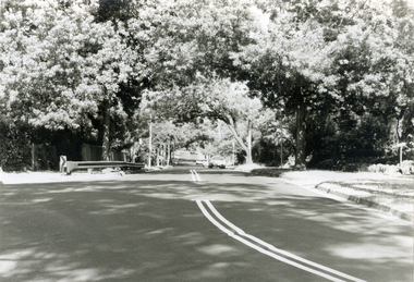 Black and white photograph looking West along Forster Street, Mitcham.