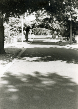 Looking west along Brunswick Road, Mitcham.