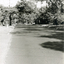 Looking West along Brunswick Road, Mitcham.