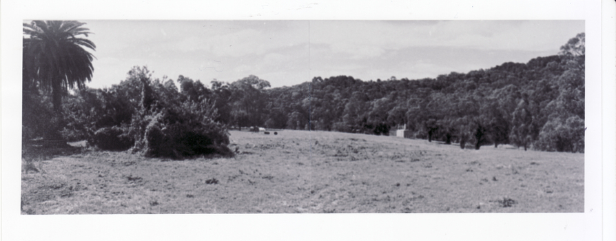 Original site of Schwerkolt home - now horse paddock adjoining Cottage Reserve.