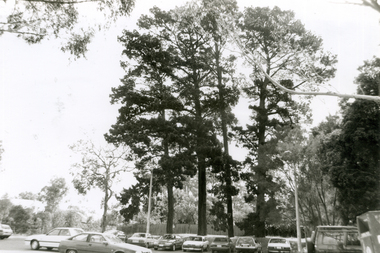 Corner of Doncaster East Road and Mitcham Road, looking North.