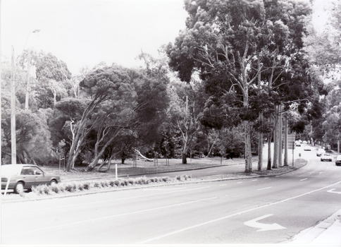 Blackburn Road Blackburn looking north from Canterbury Road.