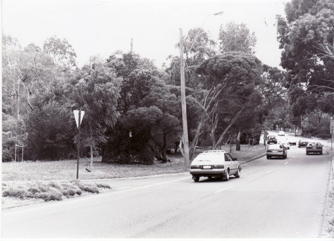 corner of Blackburn and Canterbury Roads, Blackburn looking north.