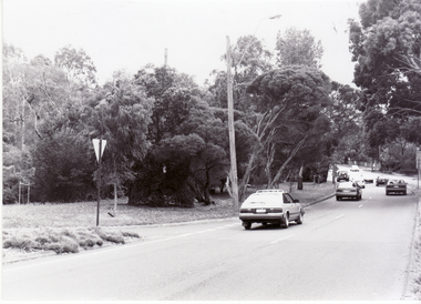 corner of Blackburn and Canterbury Roads, Blackburn looking north.