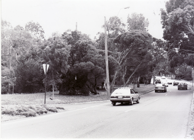 corner of Blackburn and Canterbury Roads, Blackburn looking north.