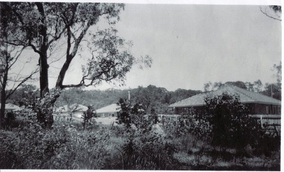 Houses adjacent to Schwerkolt Cottage in 1961-1962