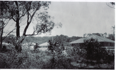 Houses adjacent to Schwerkolt Cottage in 1961-1962