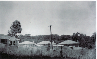 Houses adjacent to Schwerkolt Cottage in 1961- 1962.
