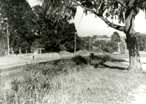 Corner of Springvale and Canterbury Roads, Forest Hill looking west c1955.