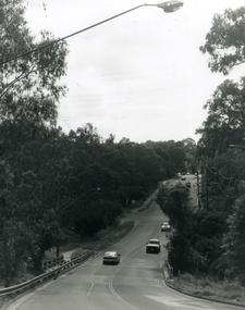  Deep Creek Road, taken from lower entrance of Schwerkolt Cottage Reserve showing Glenvale Road on left. 
