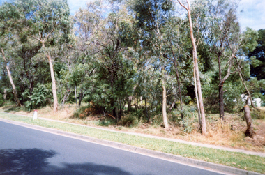 Deep Creek Road, Mitcham, prior to clearing for erection of Bridge.