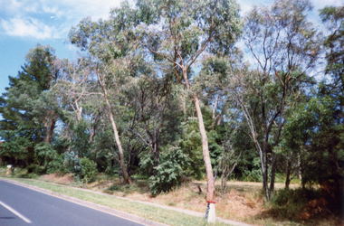  Deep Creek Road, Mitcham, prior to clearance for Bridge building.