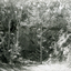  Quarry in Yarran Dheran, Mitcham