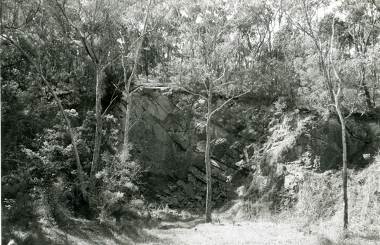  Quarry in Yarran Dheran, Mitcham