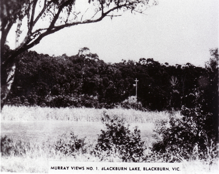 Blackburn Lake