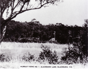 Blackburn Lake