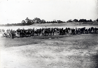 Teams of Horses clearing Land for M.M.B.W. Reservoir at Mitcham.