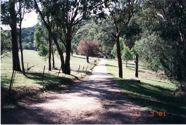 Photograph, Path Leading to Yarran Dheran, 31/03/2001 12:00:00 AM