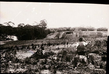 Photograph, Adult Deaf & Dumb Society's  Flower Farm