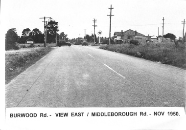 Black and white photograph of Burwood Road. 