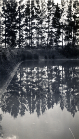 Photograph, Jones Flower Farm, 1928