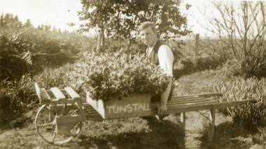 Photograph, Jones Flower Farm, 1930