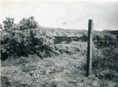 Photograph, Jones Flower Farm