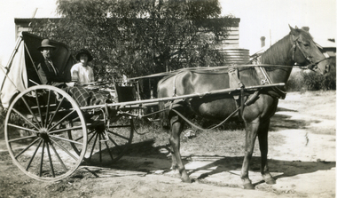 Photograph - Black & white photo, Jones Flower Farm, 1936