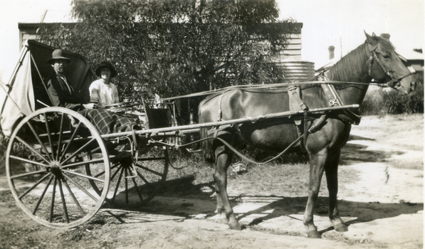 Black and white photograph of Arthur with daughter Muriel Jones in a horse and buggy, drawn by their pet horse 'Jack',on Jones' Flower Farm in Mt Pleasant Road, Nunawading, in 1936.