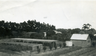 Photograph, Jones Flower Farm