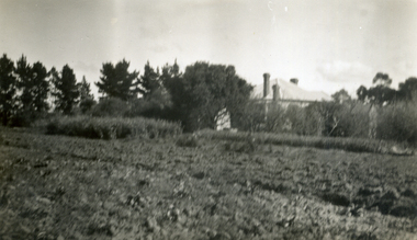 Photograph, Jones Flower Farm