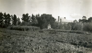 Photograph, Jones Flower Farm