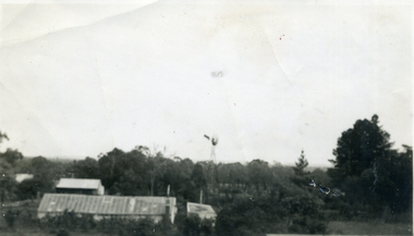 Photograph, Jones Flower Farm, 1950s
