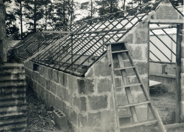 Photograph, Jones Flower Farm, 1946