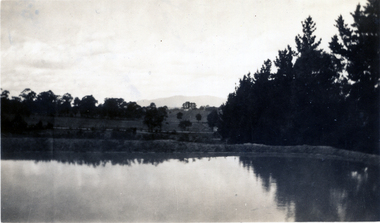 Photograph, Jones Flower Farm