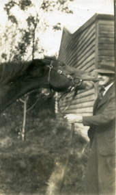 Photograph, Jones Flower Farm