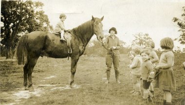 Photograph, Jones Flower Farm