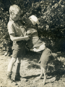 Photograph, Jones Flower Farm