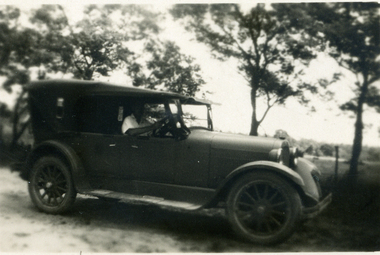 Photograph, Jones Flower Farm, 1938