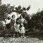 Black & white photograph of the Pearce Family orchard which is now the site of the Blackburn High School.