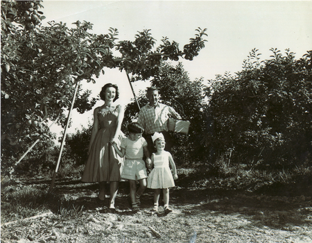 Black & white photograph of the Pearce Family orchard which is now the site of the Blackburn High School.