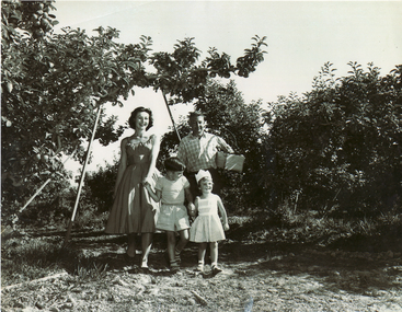 Photograph, The Pearce Orchard - Blackburn