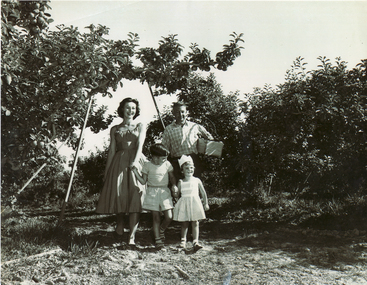 Black & white photograph of the Pearce Family orchard which is now the site of the Blackburn High School.