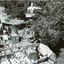 Black and white photograph of Pearce family orchard at site of present Blackburn High School.