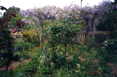 Photograph, Ziebell's Cottage Garden, 8/10/2002 12:00:00 AM