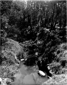 Black & white photograph of Mullum Mullum Creek in the Yarran Dheran Reserve